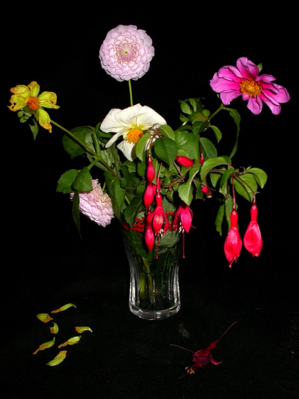 Daughter's_Posey_Ian_Parry