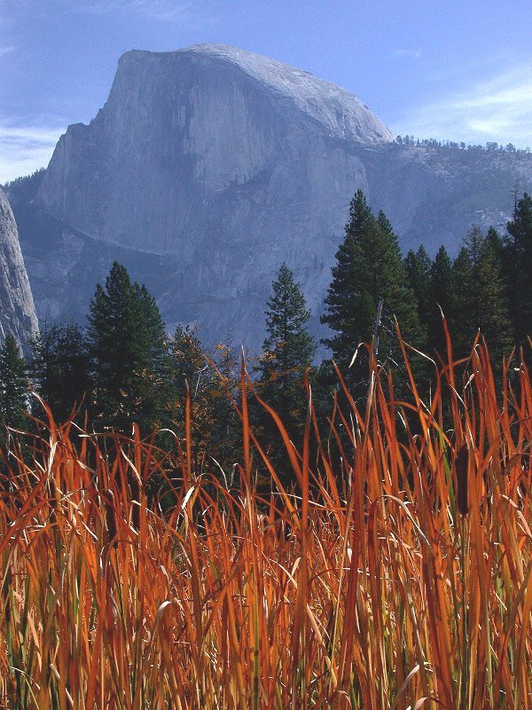 Dome_Brent_W_Haydamack