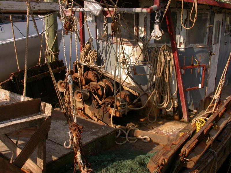 Got_Shrimp_EightLake