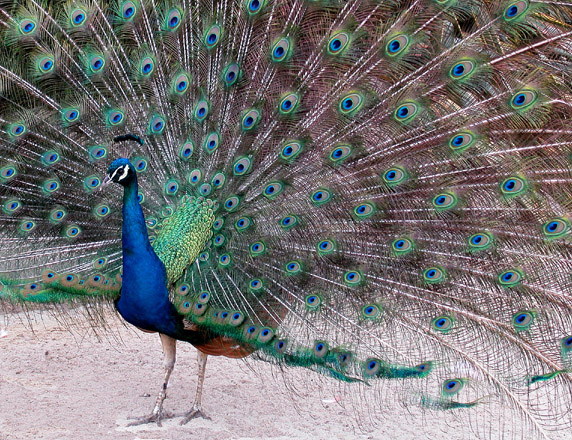 Nikon-Moment_Stephanie_Asher