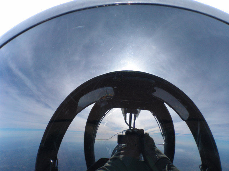 self_portrait_Rui_Mendes