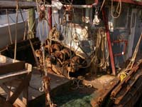 Got_Shrimp_EightLake