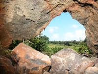 Insider's_outlook_MyronNyquist