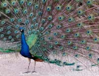 Nikon-Moment_Stephanie_Asher