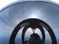 self_portrait_Rui_Mendes