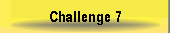 Challenge 7