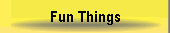 Fun Things