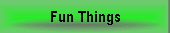 Fun Things